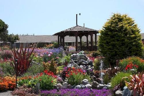Surf Motel&Gardens Fort Bragg Exterior foto